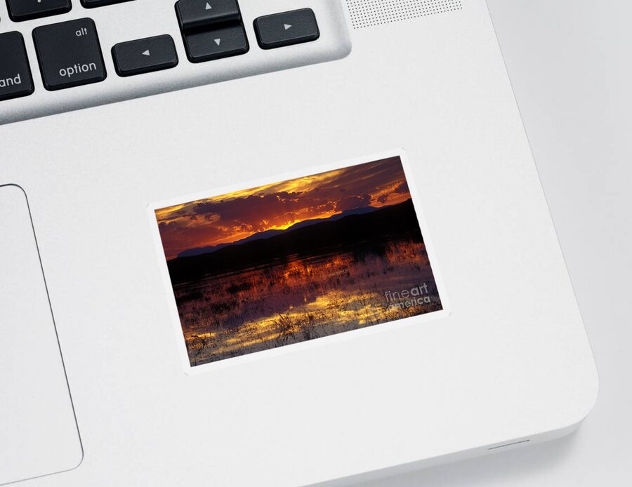 Bosque Sticker featuring the photograph Bosque Sunset - orange by Steven Ralser
