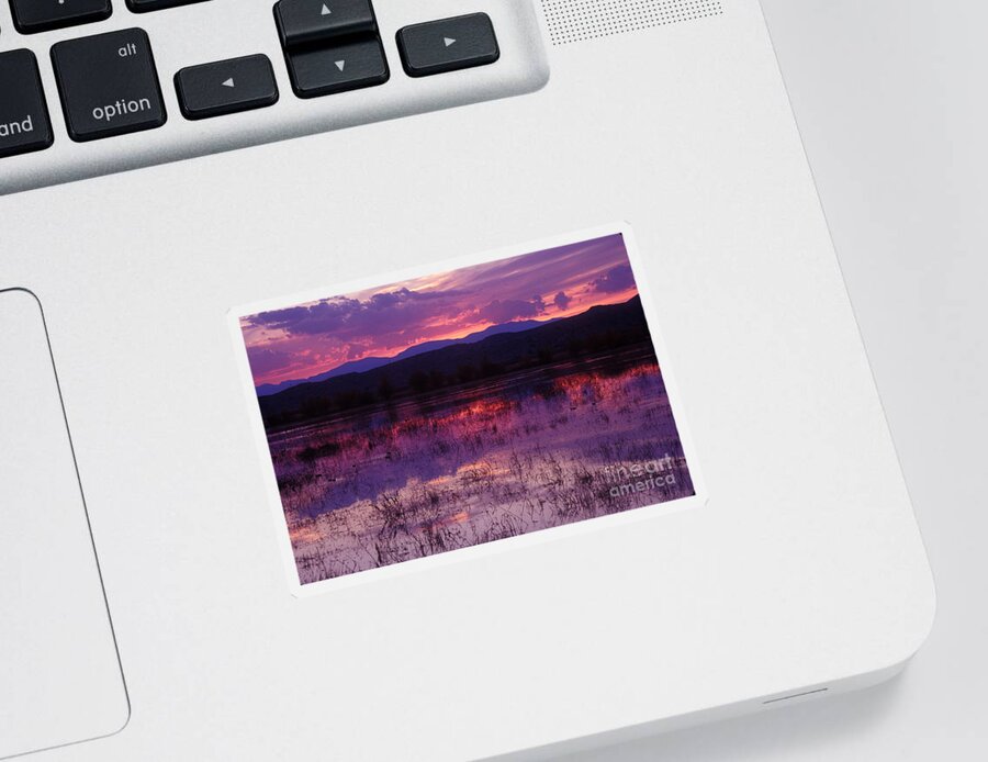 Bosque Sticker featuring the photograph Bosque sunset - purple by Steven Ralser