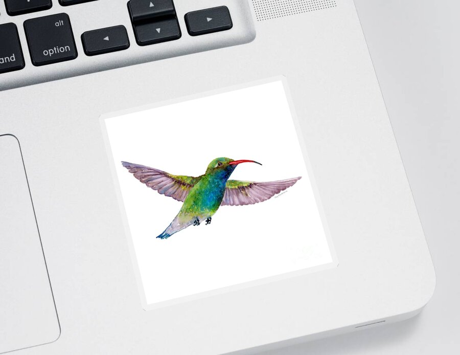 Bird Sticker featuring the painting Broad Billed Hummingbird by Amy Kirkpatrick