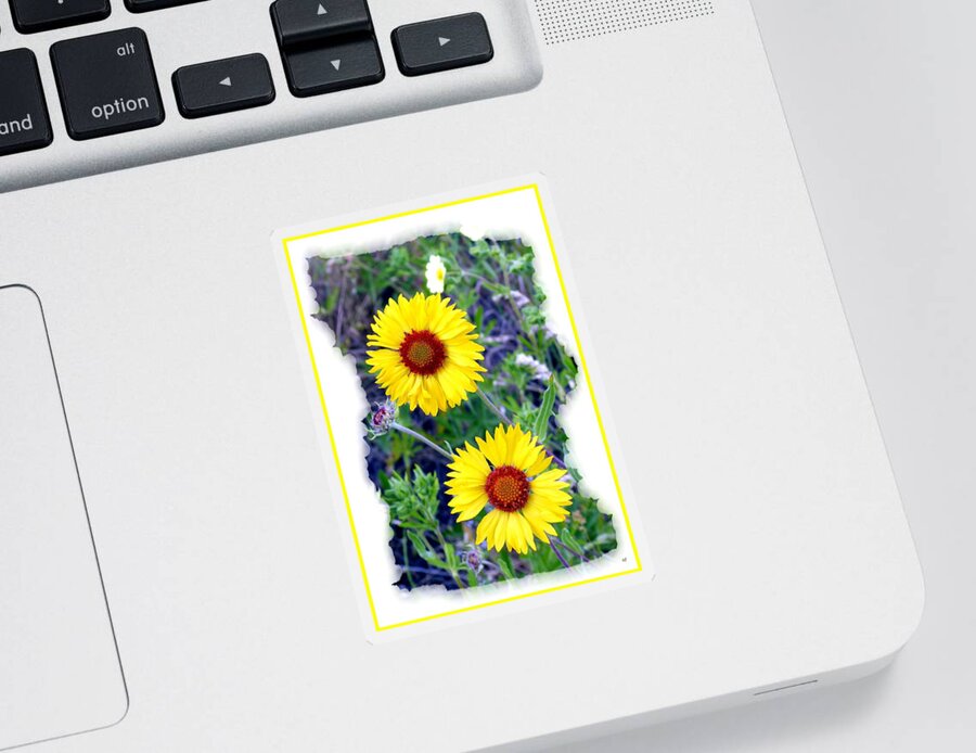 Brown-eyed Susans Sticker featuring the photograph Brown- Eyed Susans by Will Borden