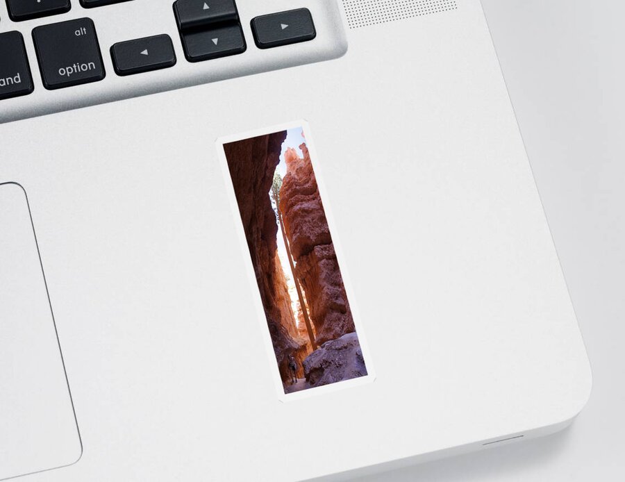 Bryce Canyon Sticker featuring the photograph Bryce Canyon from the Bottom Panoramic by Mike McGlothlen