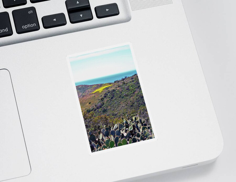 Landscape Sticker featuring the photograph Cactus To Ocean View by Ben and Raisa Gertsberg