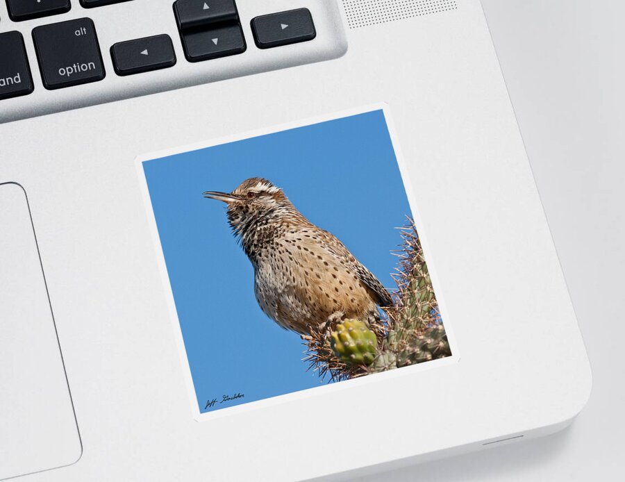 Animal Sticker featuring the photograph Cactus Wren Singing by Jeff Goulden