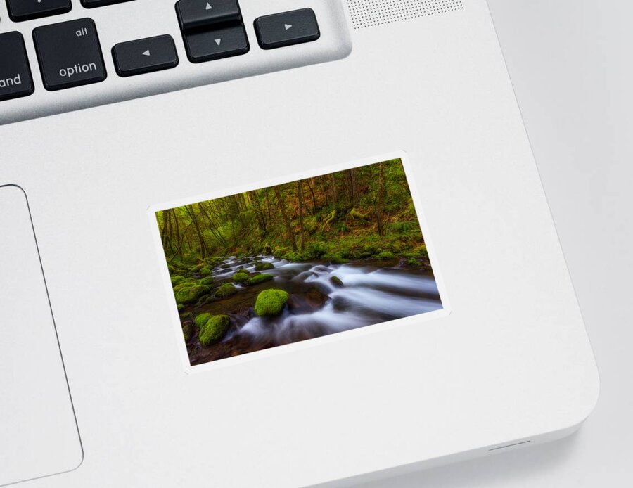 Lush Sticker featuring the photograph Canopy of Green by Darren White