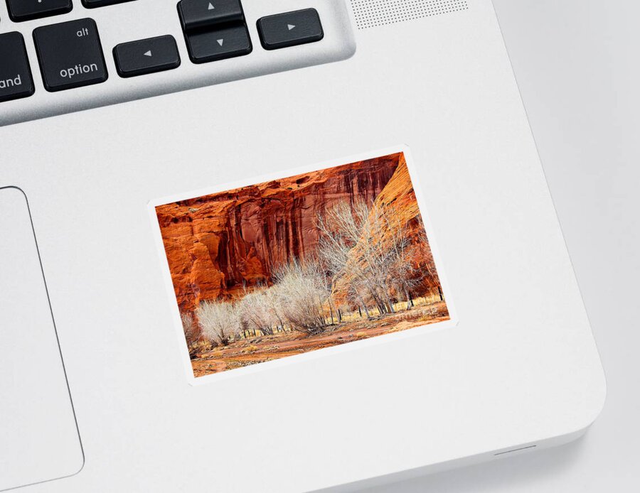 Canyons Sticker featuring the photograph Canyon de Chelly - Spring II by Barbara Zahno