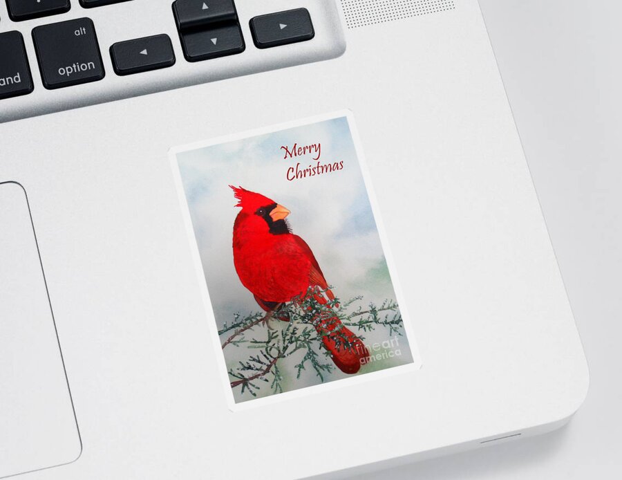 Red Sticker featuring the painting Cardinal Merry Christmas by Laurel Best