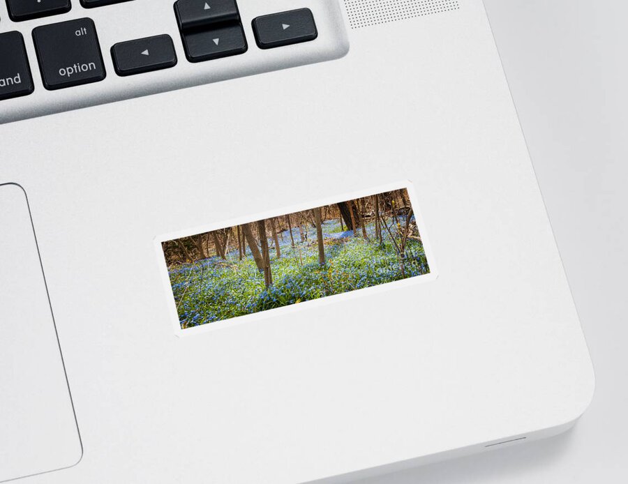 Flowers Sticker featuring the photograph Carpet of blue flowers in spring forest 3 by Elena Elisseeva
