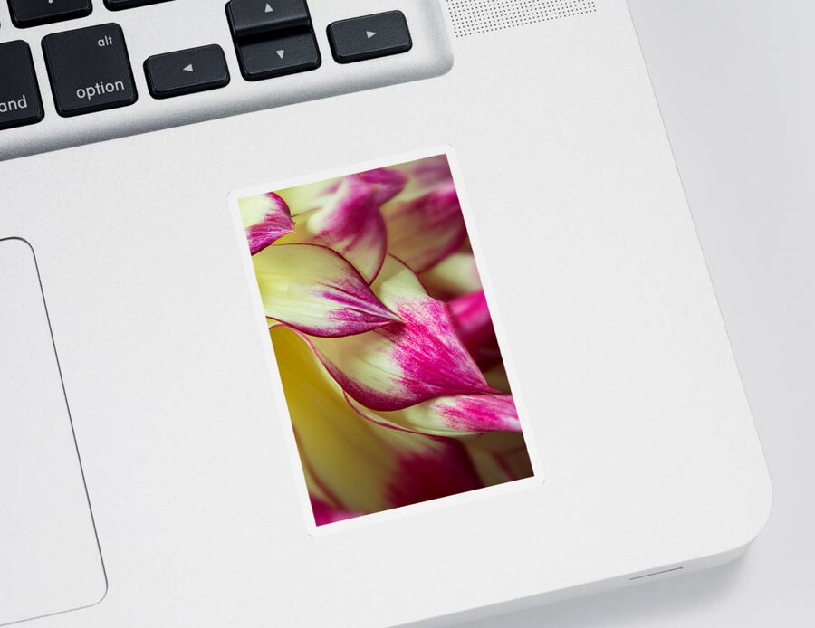 Floral Sticker featuring the photograph Cascade by Mary Jo Allen