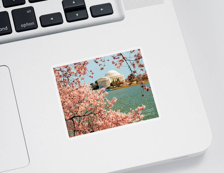 Cherry Sticker featuring the photograph Cherry Trees at the Jefferson by Nick Zelinsky Jr