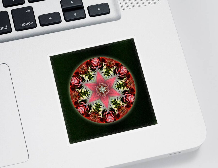 Mandala Sticker featuring the mixed media Christmas Star by Alicia Kent