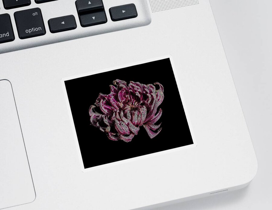 Flower Sticker featuring the digital art Chrysanthemum Scribble by Stephanie Grant