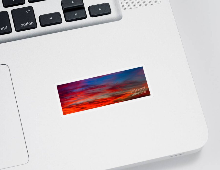 Sunset Sticker featuring the photograph Color by Anthony Michael Bonafede
