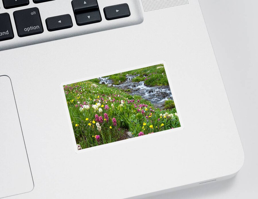 Wildflower Sticker featuring the photograph Colorado Wildflower Meadow and Stream by Cascade Colors