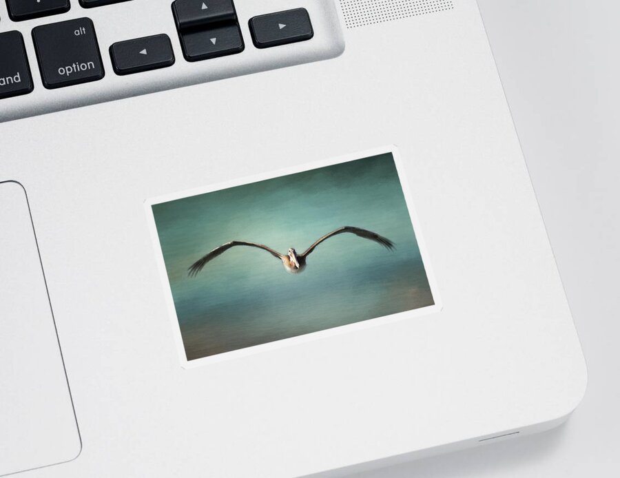 Pelican Sticker featuring the photograph Coming At You by Pam Holdsworth