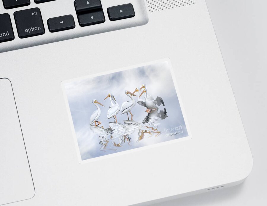 Pelican Sticker featuring the photograph Confusion by Stephanie Laird