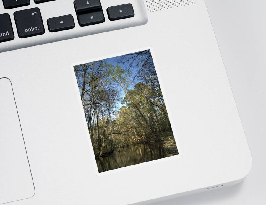 Congaree Sticker featuring the photograph Congaree Creek-3 by Charles Hite