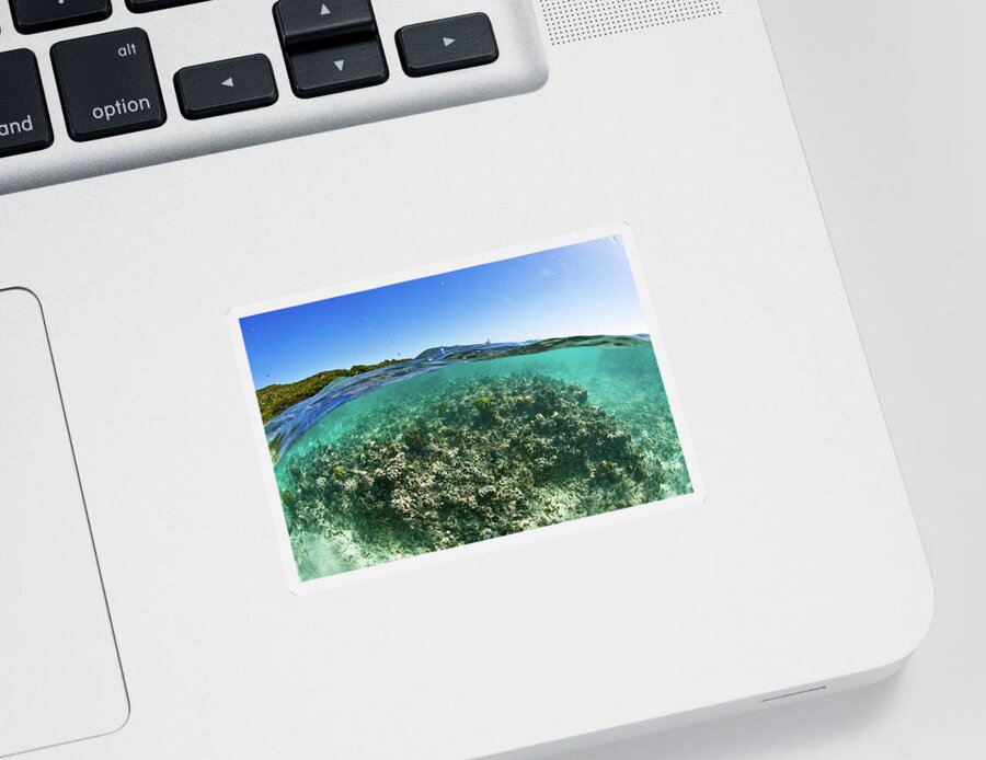 Photography Sticker featuring the photograph Coral Reef In Culebra Island, Puerto by Panoramic Images