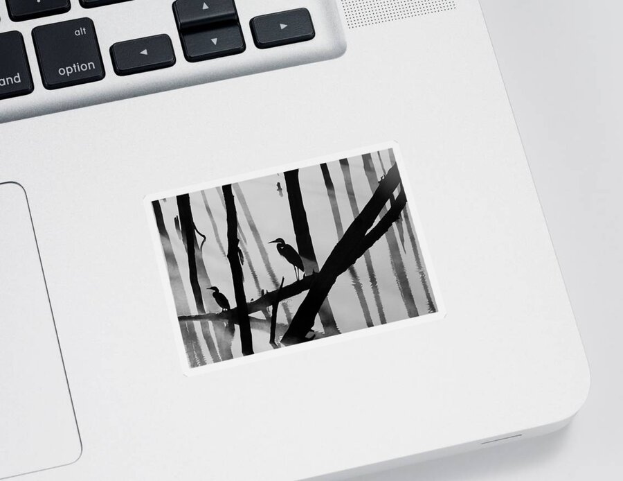 Birds Sticker featuring the photograph Cormorant and the Heron BW by Roger Becker