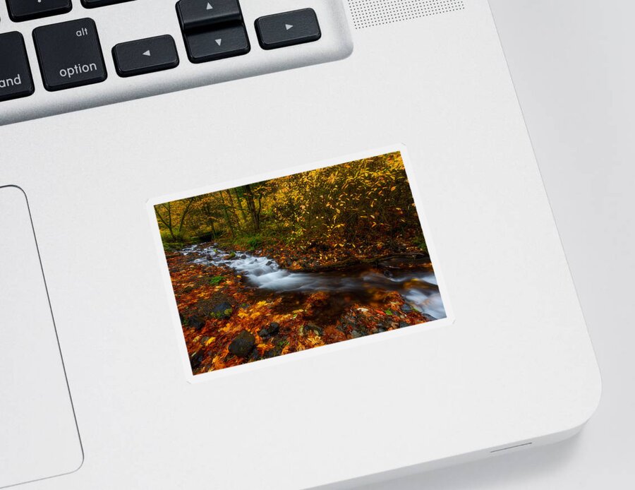 Fall Sticker featuring the photograph Creekside Colors by Darren White