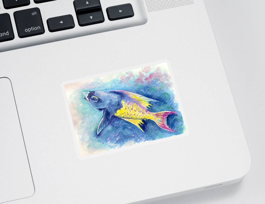 Fish Paintings Sticker featuring the painting Creole Wrasse by Ashley Kujan