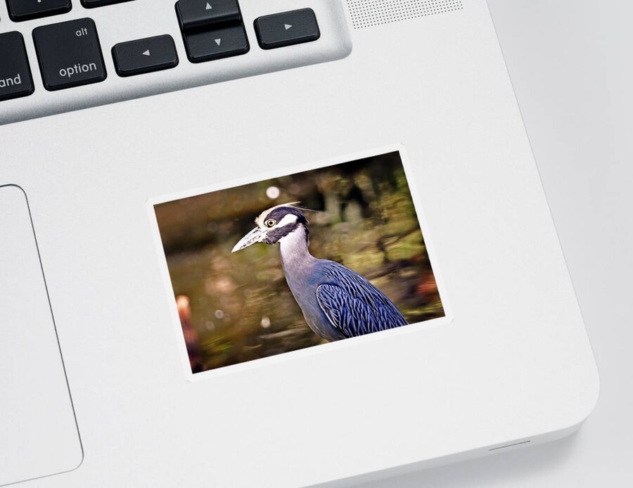Bird Sticker featuring the photograph Crowned One by Marty Koch