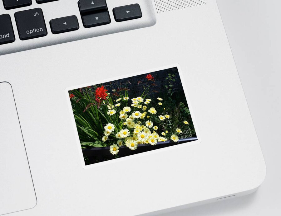 Floral Sticker featuring the photograph Curiosity by Elena Perelman
