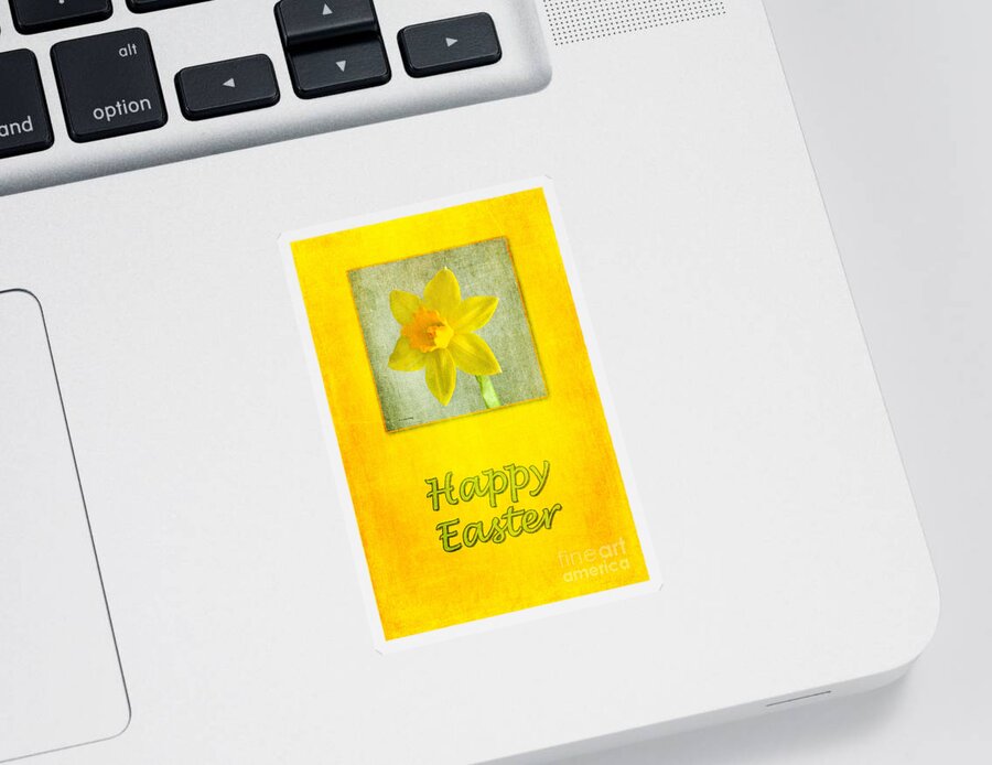 Daffodil Sticker featuring the photograph Daffodil Easter by Randi Grace Nilsberg