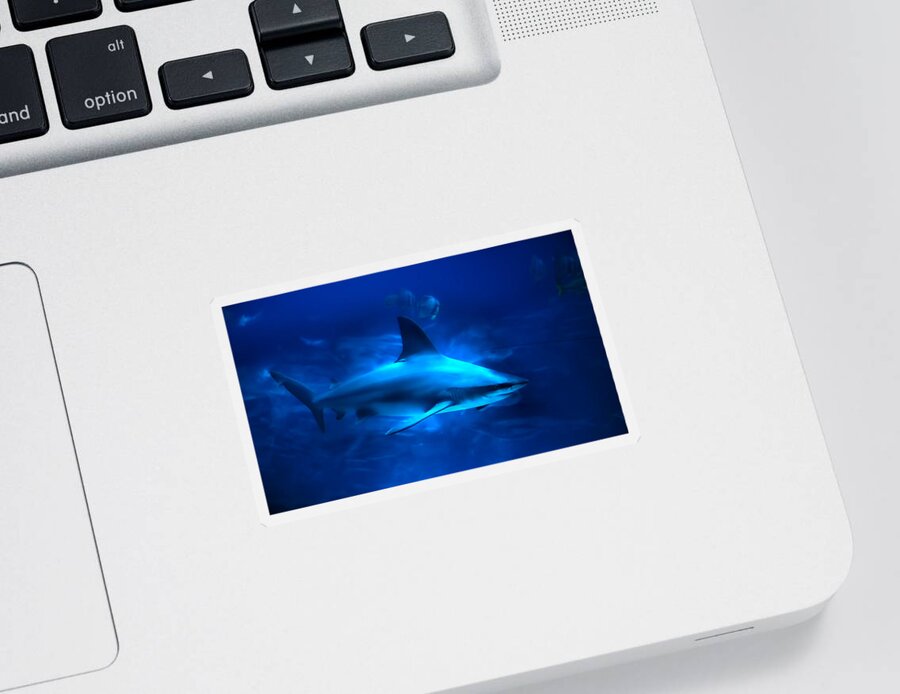Shark Sticker featuring the photograph Dangerous Beauty by Mark Andrew Thomas