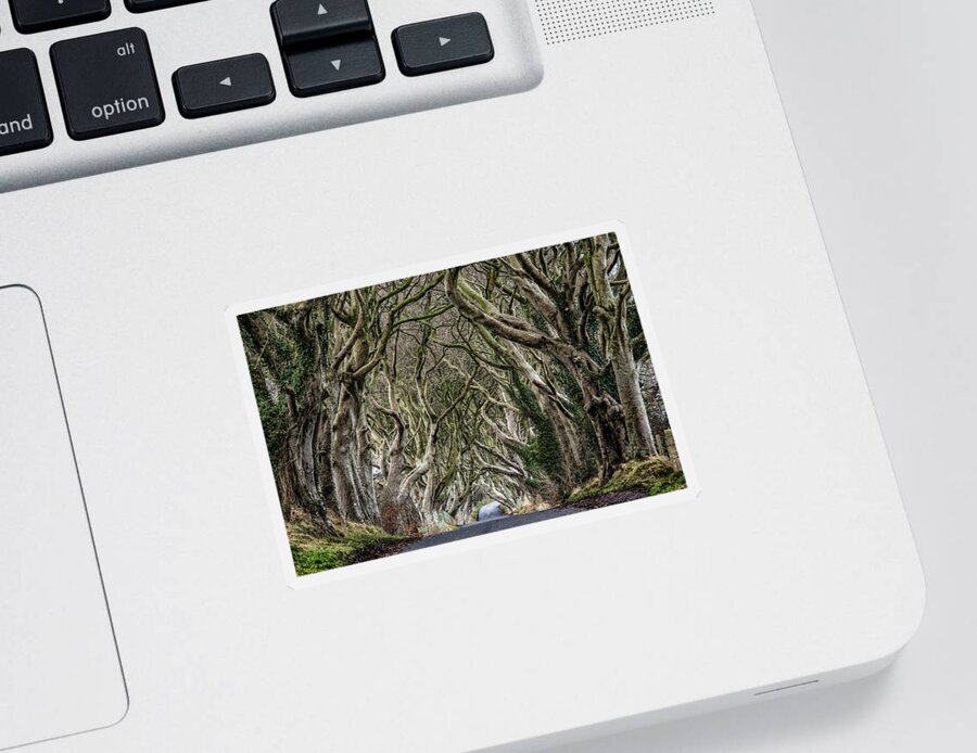 Dark Hedges Sticker featuring the photograph Dark Hedges by Nigel R Bell