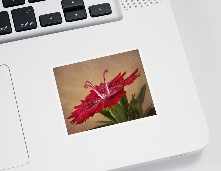 Flower Sticker featuring the photograph Dianthus by David and Carol Kelly