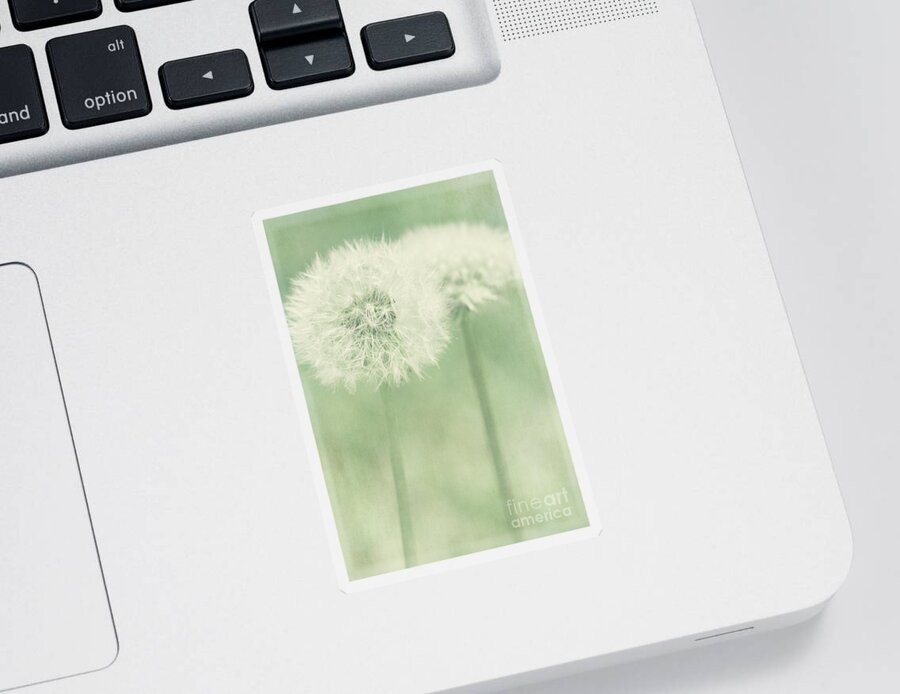 Dandelion Sticker featuring the photograph Double Dandy by Pam Holdsworth