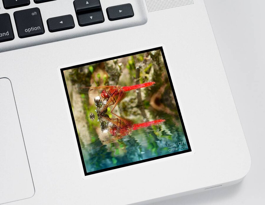 Dragon Fly Red Sticker featuring the photograph Dragon Fly Red by Susan Garren