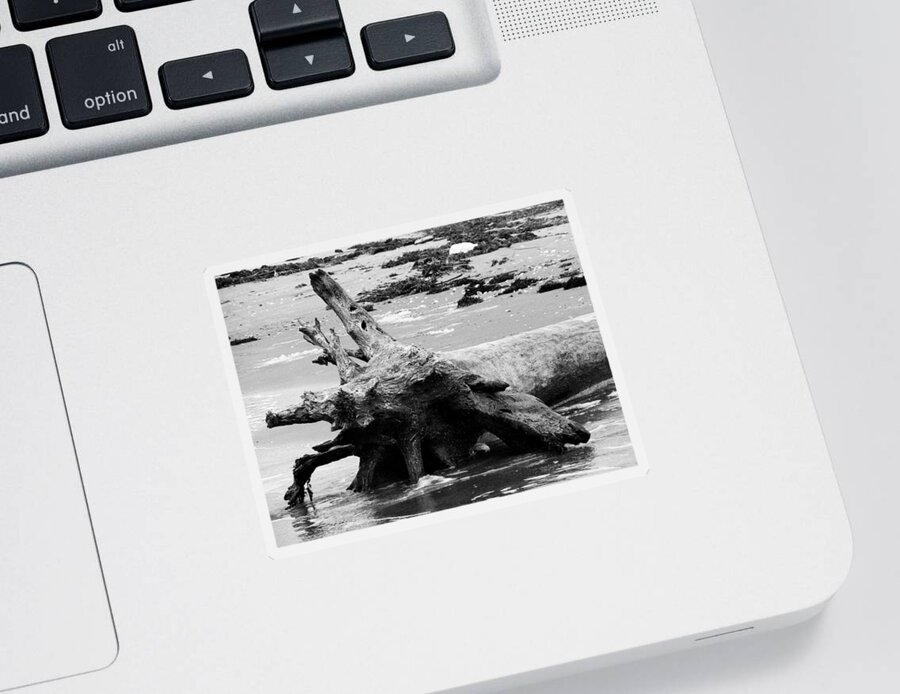 Driftwood Sticker featuring the photograph Drift Away by Melinda Ledsome