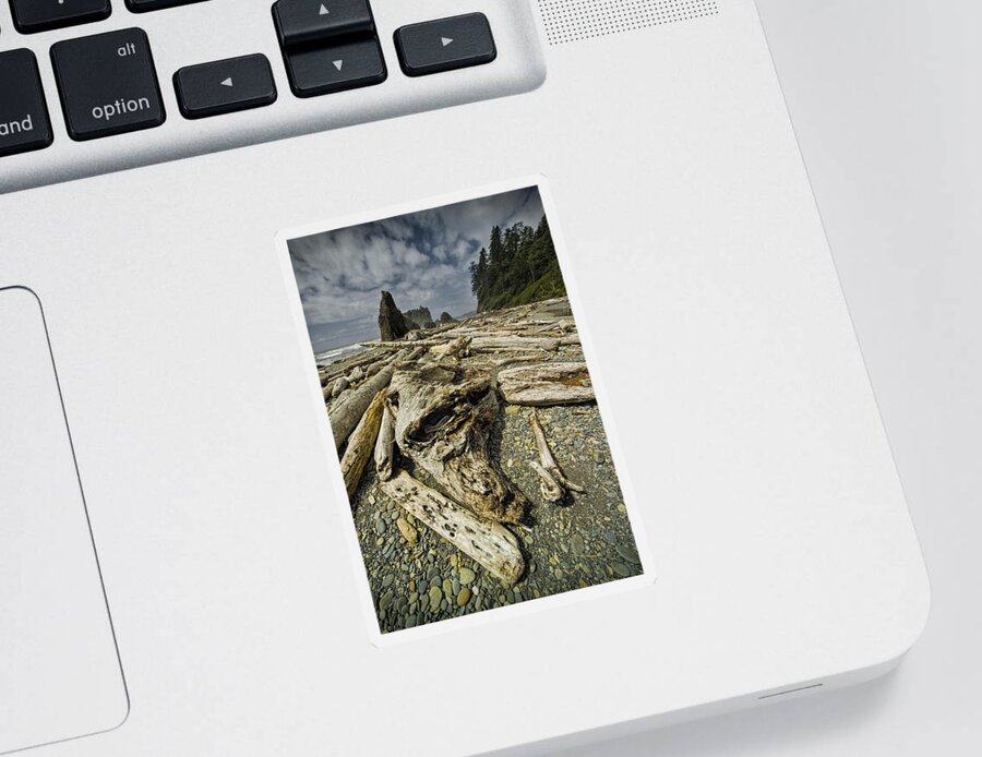 Art Sticker featuring the photograph Driftwood and Sea Stacks on Ruby Beach by Randall Nyhof