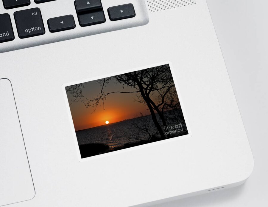 Sunset Sticker featuring the photograph Duck Sunset by Ronald Lutz