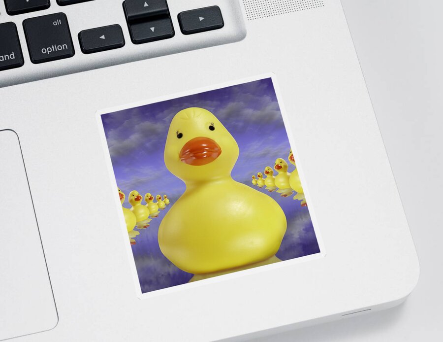 Fun Art Sticker featuring the photograph Ducks In A Row 3 by Mike McGlothlen