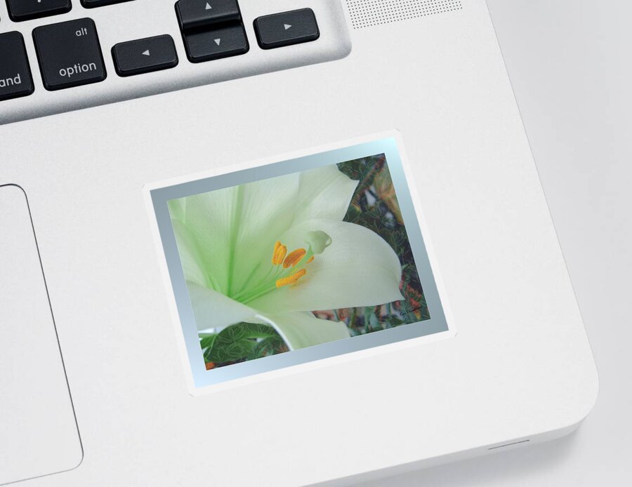 Easter Sticker featuring the photograph Easter Lily by Kae Cheatham