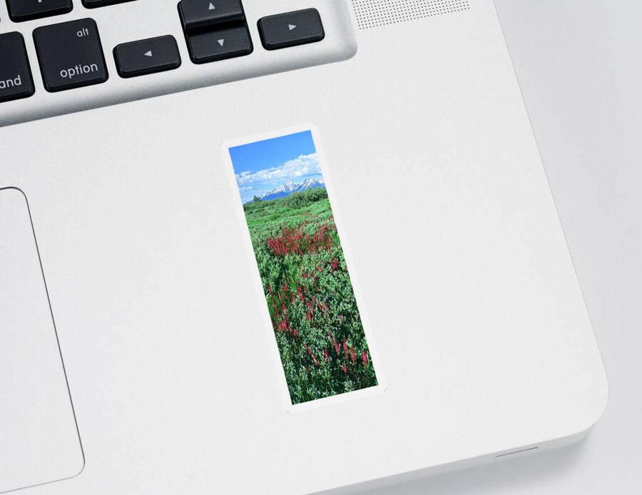 Photography Sticker featuring the photograph Elephant Head Flowers In A Field by Panoramic Images
