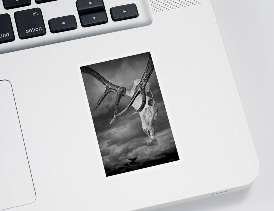 Art Sticker featuring the photograph Elk Skull with Sky by Randall Nyhof