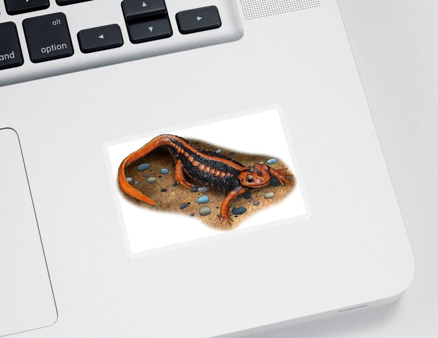 Emperor Newt Sticker featuring the photograph Emperor Newt by Roger Hall