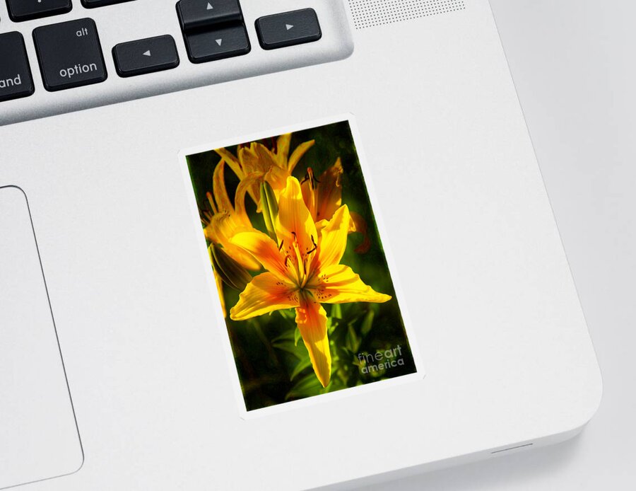 Enticing Bloom Sticker featuring the photograph Enticing Bloom of Yellow And Orange Lilies Garden Art by Omaste by Omaste Witkowski