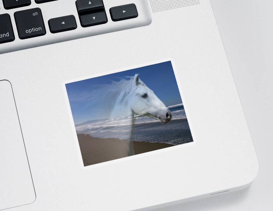 Horses Sticker featuring the photograph Equine Shores by Athena Mckinzie