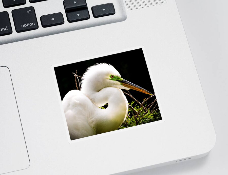 White Egrets Sticker featuring the photograph ESSENCE of BEAUTY by Karen Wiles