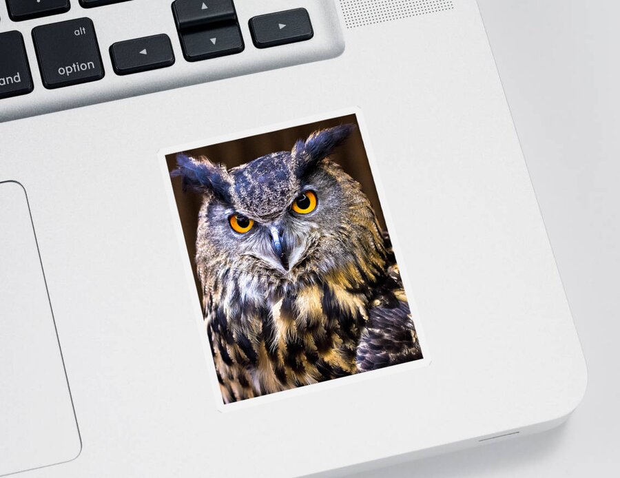 Eurasian Eagle-owl Sticker featuring the photograph Eurasian Eagle-Owl by Robert L Jackson