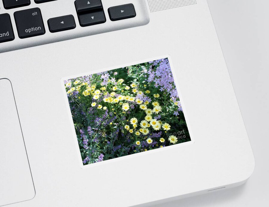 Floral Sticker featuring the photograph Expectation by Elena Perelman