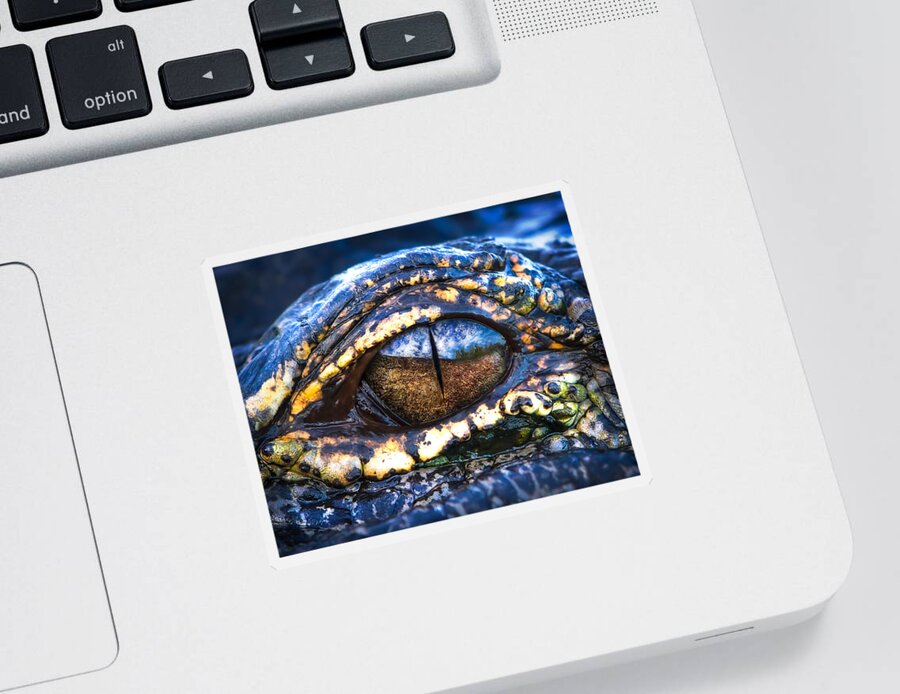 Alligator Sticker featuring the photograph Eye of the Dragon by Mark Andrew Thomas