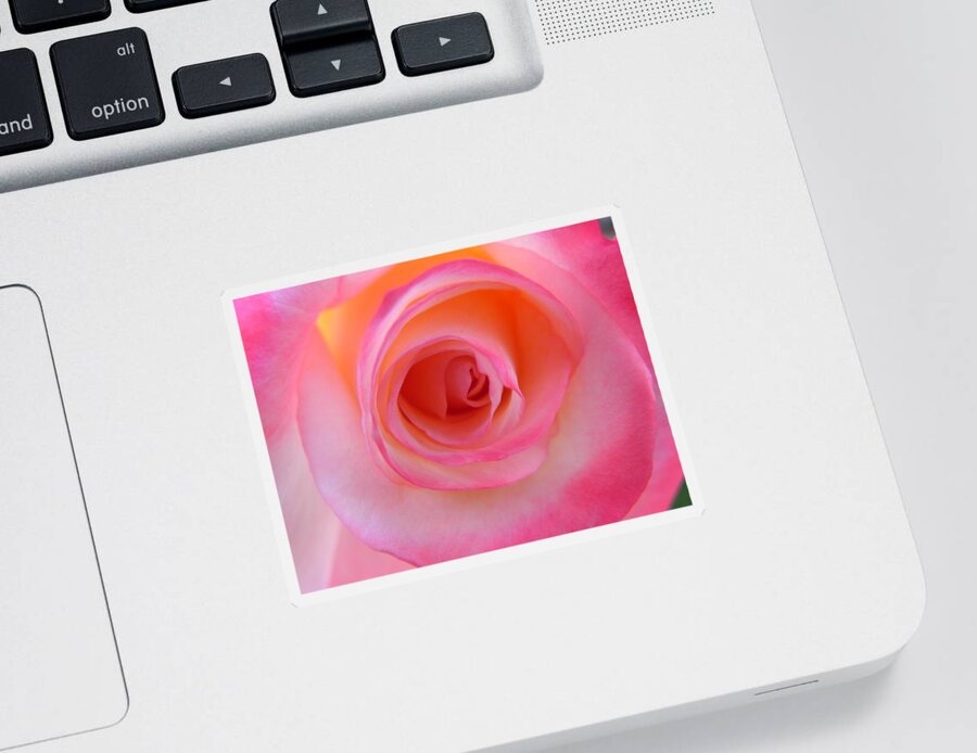 Rose Sticker featuring the photograph Eye of the Rose by Deb Halloran