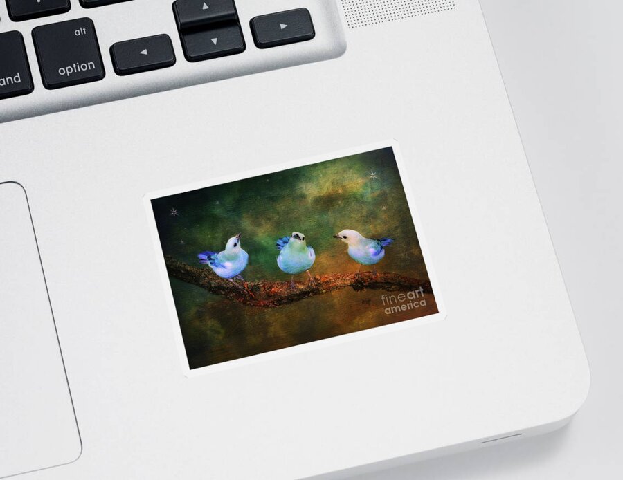 Bird Sticker featuring the photograph Faith Hope and Charity by Lois Bryan