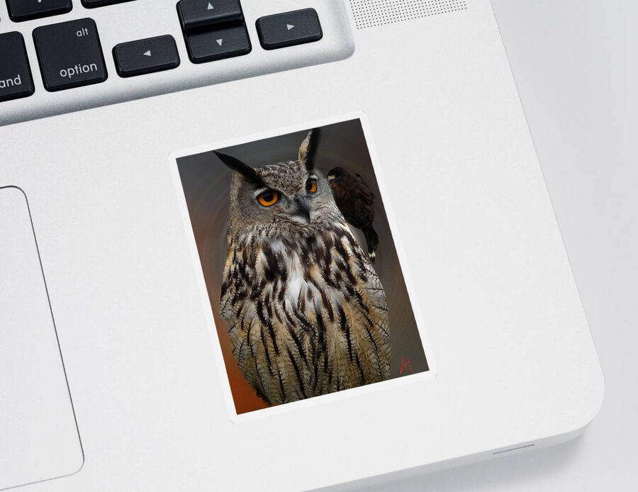 Colette Sticker featuring the photograph Falco with Owl alba Spain by Colette V Hera Guggenheim