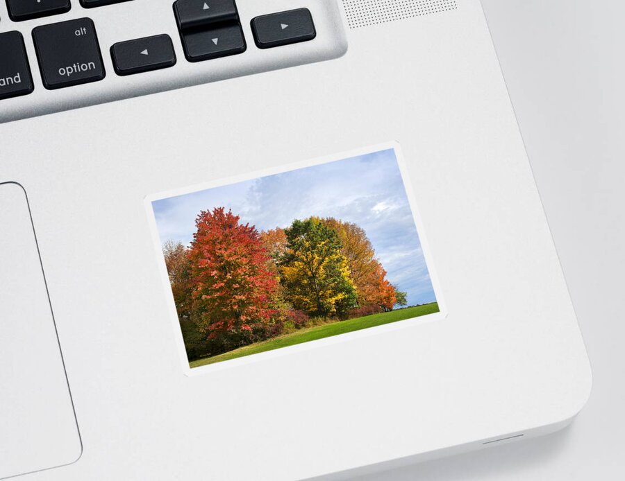 Fall Colors Sticker featuring the photograph Fall Colors by Christina Rollo